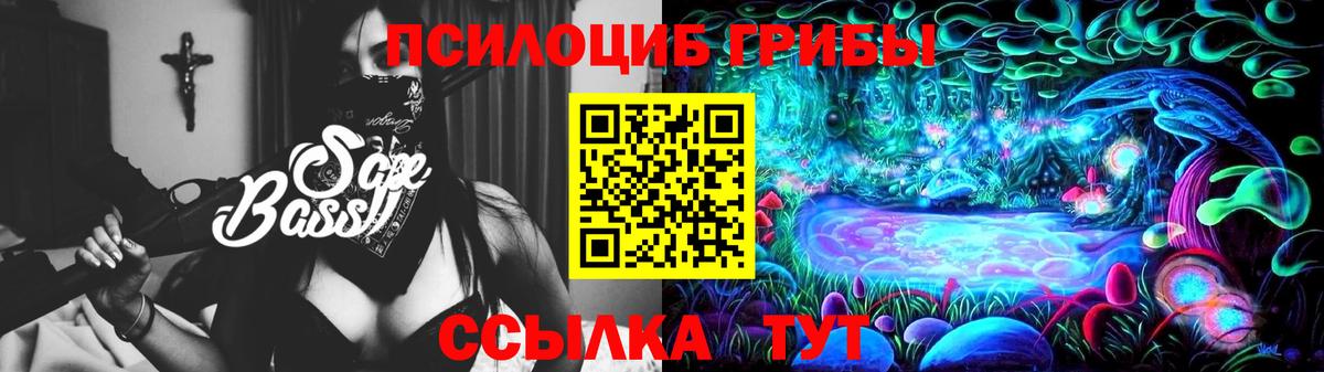 Псилоцибиновые грибы MAGIC MUSHROOMS  Псилоцибиновые грибы мухоморы  Вход с VPN  Новозыбков 