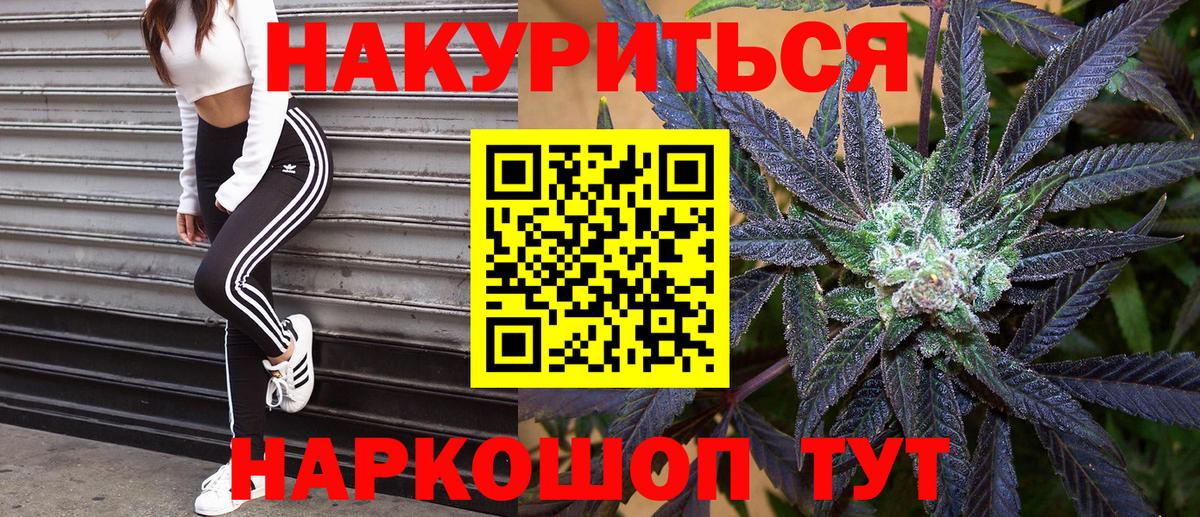 Бошки марихуана семена  Вход с VPN  Новозыбков  Канабис план 